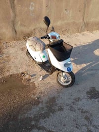 بطة • بلادية • معدل شلعة