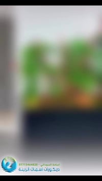 الحوض بعد الجهوزية واكتمال الدورة البايلوجية ونزول الاسماك .. 🤗  …………....