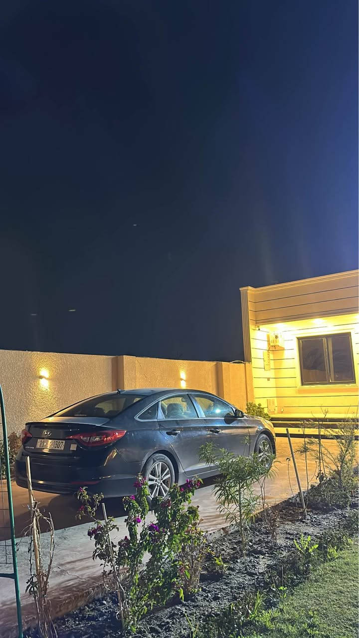 *********** بغداد, العراق
