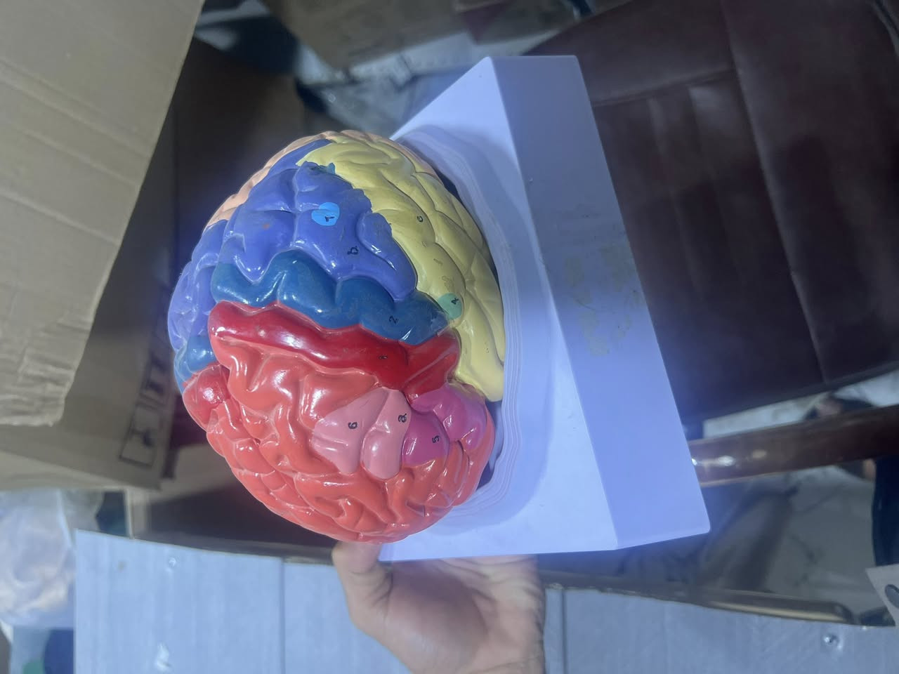 عقل اصطناعي البيع حط سعرك


**إذا كنت صاحب هذا الإعلان وتريد حذفه لأي سبب، رجاءا أرسل رسالة إلى الدعم الفني**