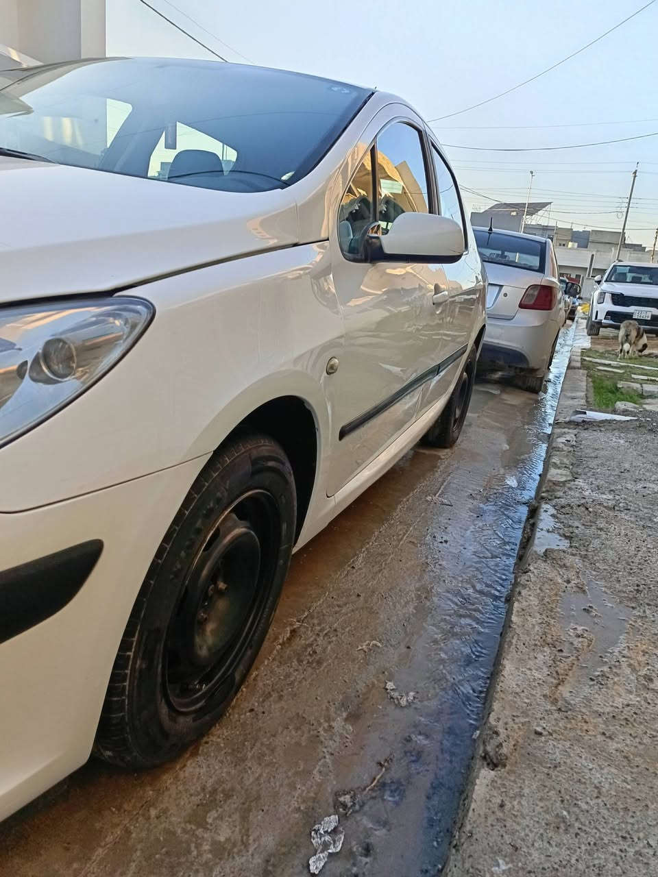 بيجو 307 2006 سيارة وضع شركة كلها علبلادي سنوية بأسمي هزة جديدة تحويل بنفس اليوم محرك وكير شرط تبريد وتدفئة شغال كهربائيات شغالة كلها السيارة بدون اي جطل واي كتوت اضافي بيها صبغ دوسة وداير السعر 66 مكاني موصل الأيسر ***********
