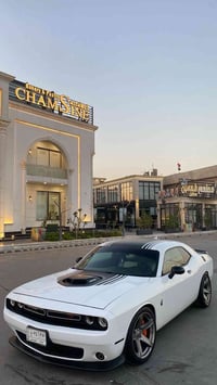 تخم ويل • نجمة • حجم ٢٠
