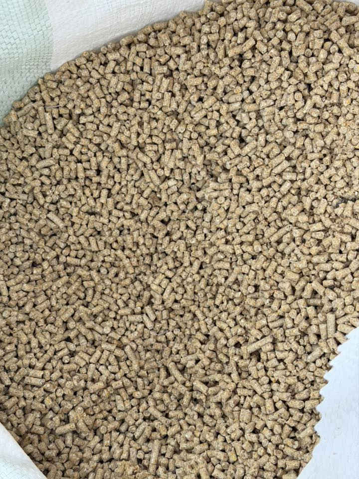 محل أعلاف بيع وشراء علف متوفر عدنا أنواع بقوليات وعدنا حنطه وشعير ونخاله تلعفر وطحين وتمن ومعجون وحليب وزيت 
عنوان شارع البواري مقابيل دكتورة ولاء 

‭٠٧٥٠ ٨٧٠ ٠٨٧٥‬
عنوان موجود بفيديو
