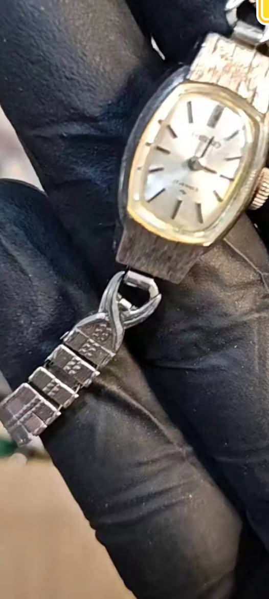 ياالله السلام عليكم ورحمة الله وبركاته
حلويات  وكله شرط اصلي


**إذا كنت صاحب هذا الإعلان وتريد حذفه لأي سبب، رجاءا أرسل رسالة إلى الدعم الفني**