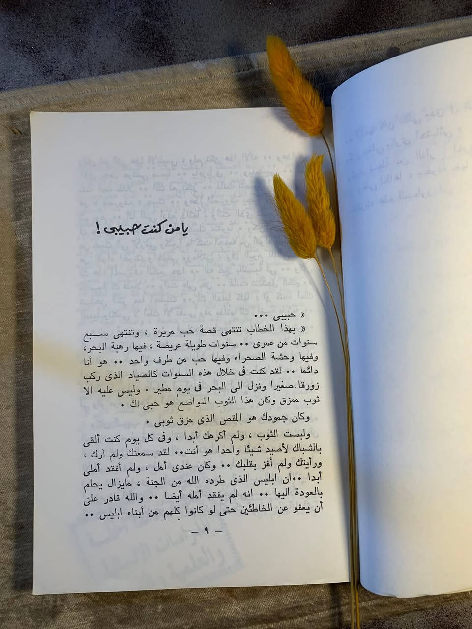 يامن كنت حبيبي 
 أنيس منصور
السعر 7000 الف


**إذا كنت صاحب هذا الإعلان وتريد حذفه لأي سبب، رجاءا أرسل رسالة إلى الدعم الفني**