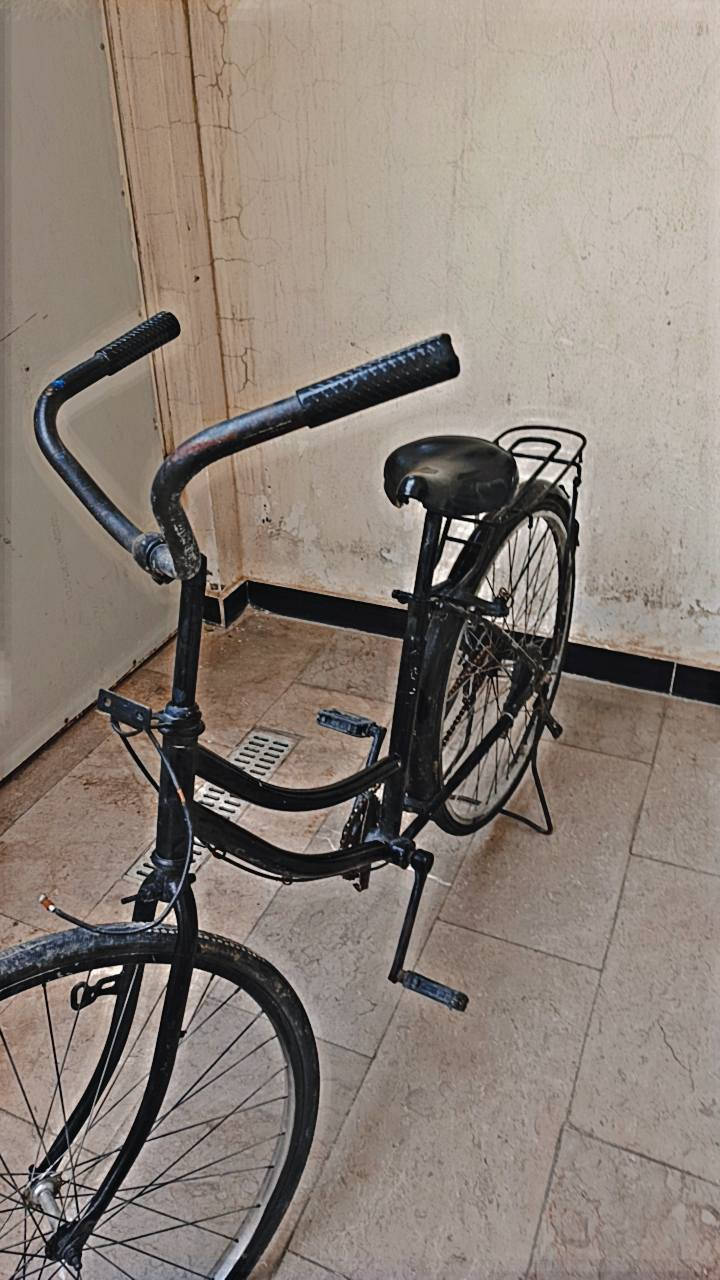 السلام عليكم
بايسكل بناتي للبيع
نقص بنجر خلفي و بريكات فقط
العنوان حي تونس
رقم الهاتف ***********
السعر ٧٠ وبي مجال
