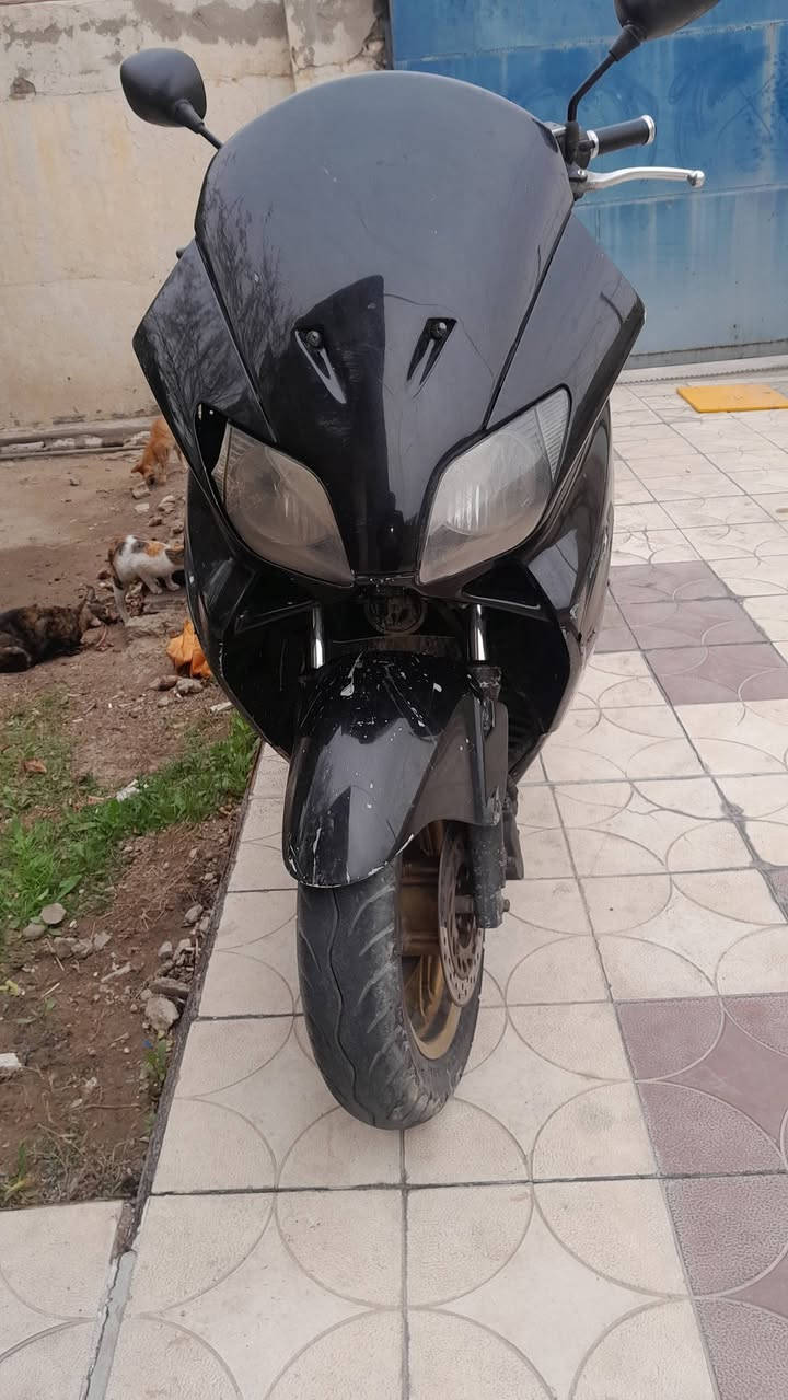 السلام عليكم 
فورزة 6,0 للبيع  او مراوس 
جاهزة  السعر 400 قفل
بغداد ***********
