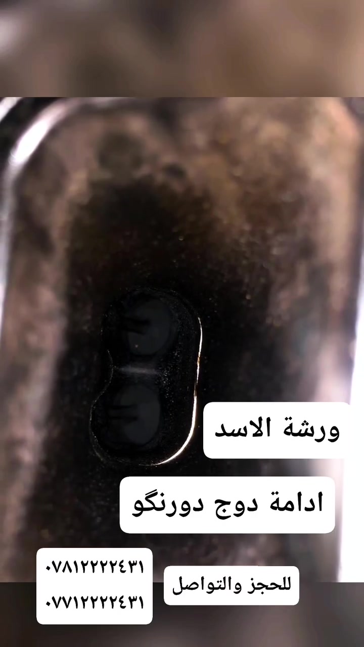 ادامة فحص تشخيص أعطال برمجة
للحجز والتواصل
***********
***********
