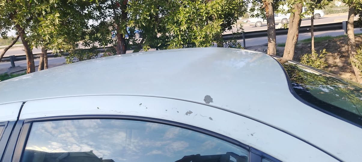 السلام عليكم نيسان صني 2009 خليجي ياباني اصلي رقم بغداد بيه جراد قماره حلوه مال جناي كير اتوماتيك سعر 90 مكان بغداد حي الخضراء هاتف *********** شراي يتصل
