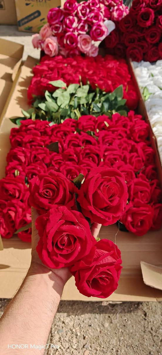 صفحة الفيسبوك
https://www.facebook.com/share/rXh8wephEUKuo1Zh/?mibextid=qi2Omg

صفحة الانستا 
https://www.instagram.com/giftboxes9797?igsh=aW1iNGdzaTB3Y2R3
صفحة تيك توك
https://www.tiktok.com/@giftboxes975?_t=8oTQr6bNkwi&_r=1

رقم واتساب ***********

معرف الحجز @h_u9797
