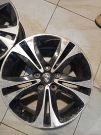 بغداد • تخم • ١٧ مكاني