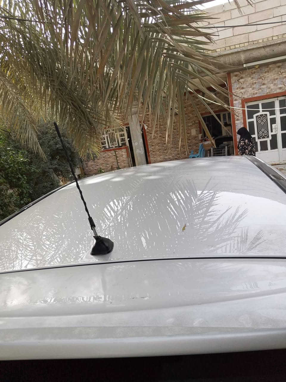 رينو موديل ١٣ مكفولة تريد وكالة تريد تحويل العنوان بابل الدبلة تليفون *********** السعر ٩٥ وبيها مجال .. السونار موجود بالصور
