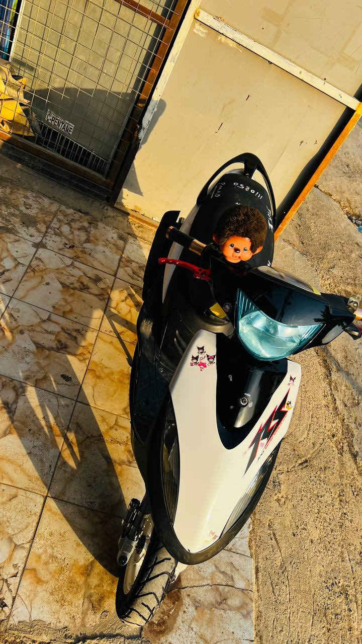 مراوس بسكنس جبلي او فحل فقط
راس برأس مكاني بغداد دوره


**إذا كنت صاحب هذا الإعلان وتريد حذفه لأي سبب، رجاءا أرسل رسالة إلى الدعم الفني**