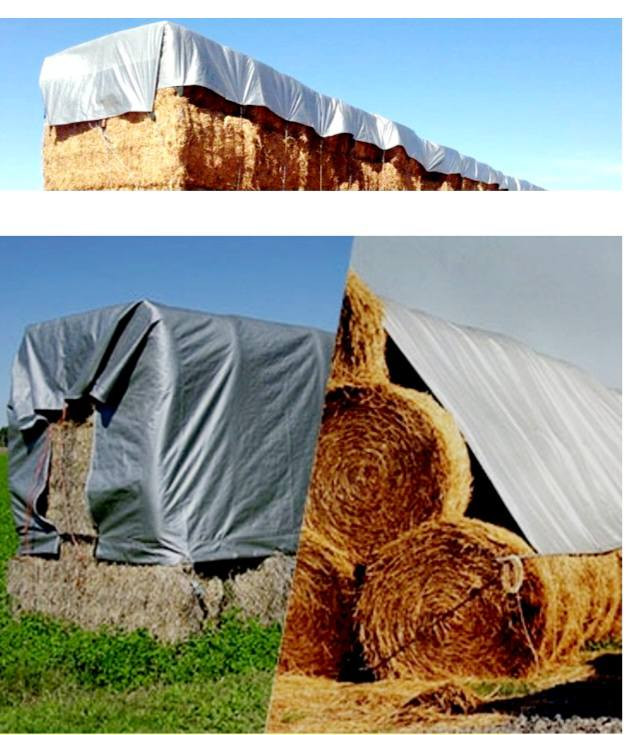 جادر حراري عازل مقاوم للشمس والمطر ( طول 11.5 متر×عرض 3 متر ) مع حبال مطاطية وخطافات مناسب للخيم اولتغطية سيارات الحمل وغير ذلك السعر 25 الف
متوفر قطعتين


**إذا كنت صاحب هذا الإعلان وتريد حذفه لأي سبب، رجاءا أرسل رسالة إلى الدعم الفني**