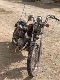 ريبل 250 • بدون أوراق • خانة مستحقة