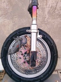 صدر نفخ كامل • سكنس جبلي • فحل عام