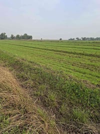 أرض زراعية • ٢٥٠٠دونم • طابو٢٥