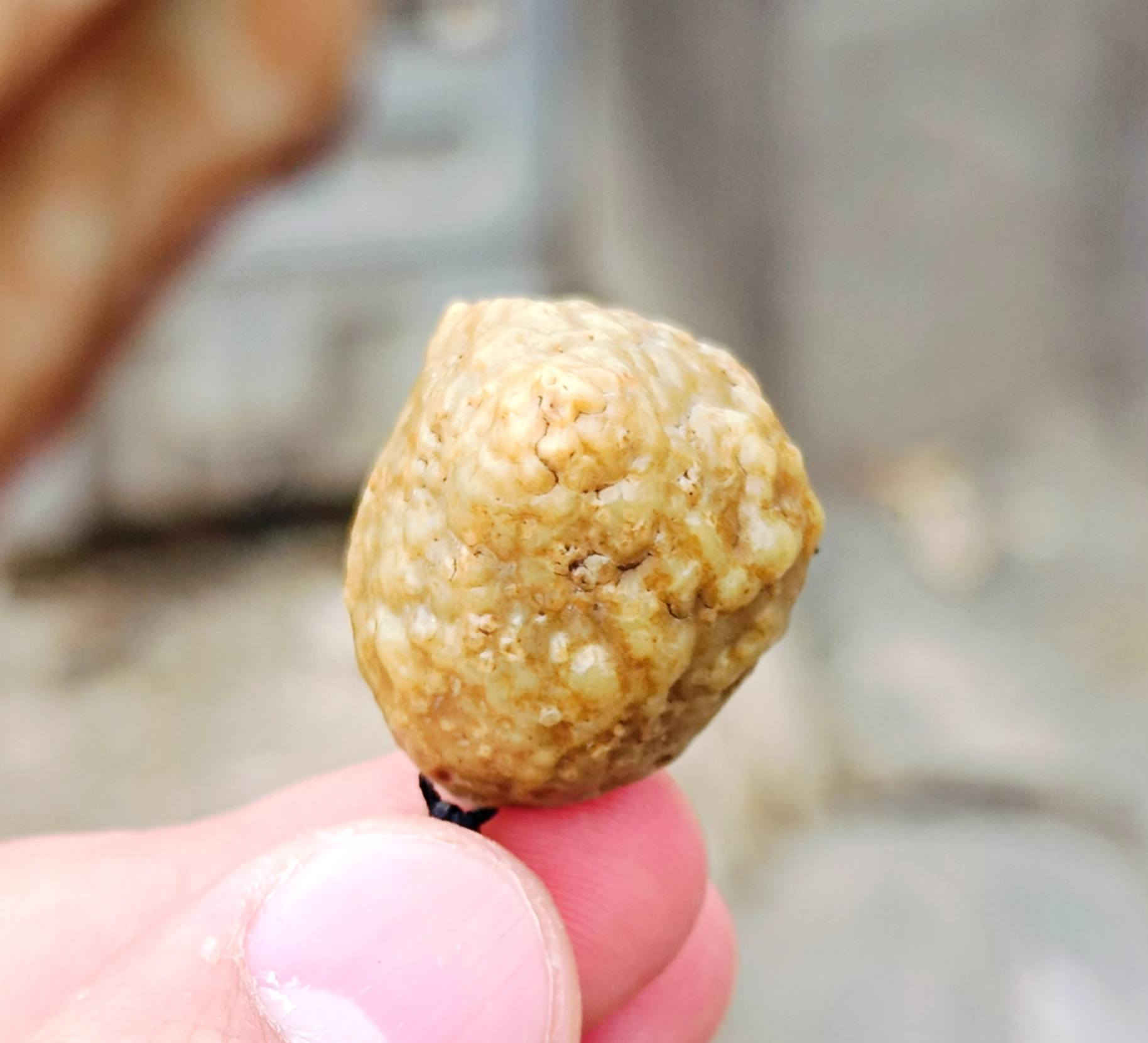 سلام عليـــــــكم 🫷🏿👇👇

زوعــــــه حيه(قطعة قديمه) تحفه ووجمال

يوجد توصيل بدون مراوس او حجز مكاني سماوه سعـــره مع التوصيل(35)🔒🔒


**إذا كنت صاحب هذا الإعلان وتريد حذفه لأي سبب، رجاءا أرسل رسالة إلى الدعم الفني**