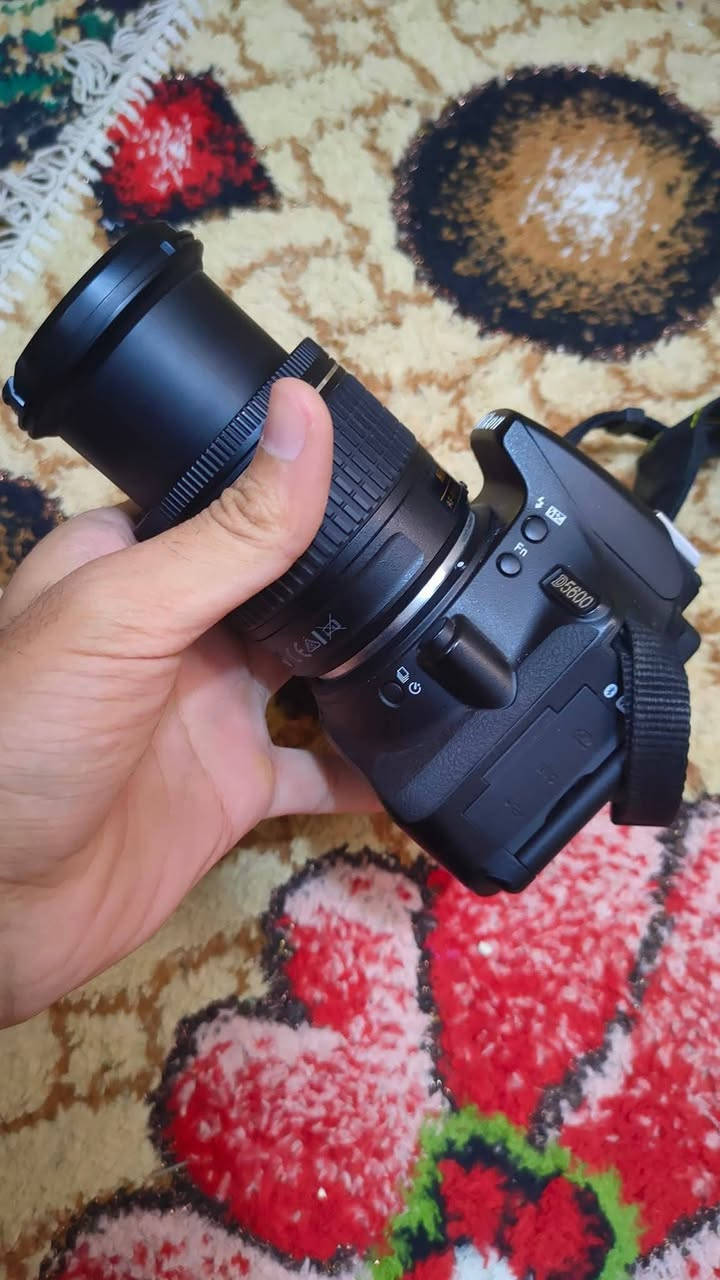 كامره نيكون5600 شاشه لمس اخت الجديده ملحقات كامله نضام واي فاي #الشراي يجي خاص


**إذا كنت صاحب هذا الإعلان وتريد حذفه لأي سبب، رجاءا أرسل رسالة إلى الدعم الفني**