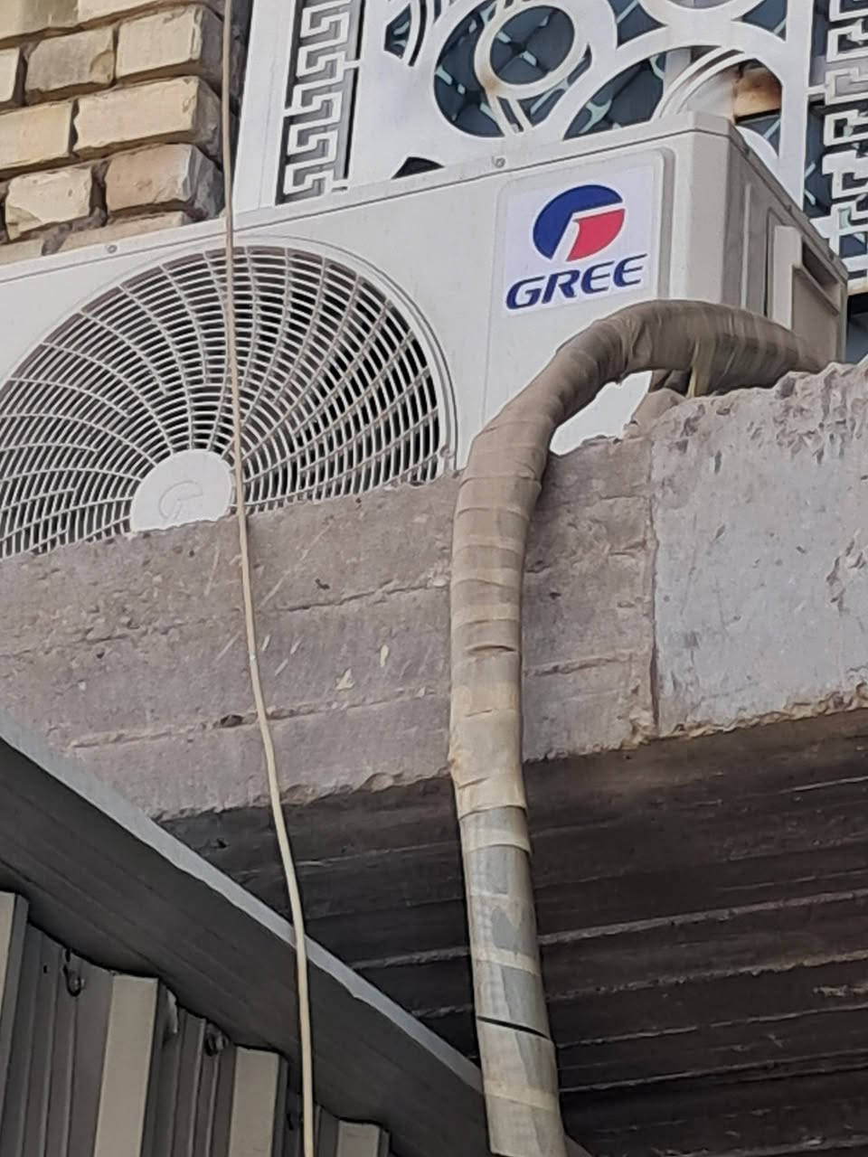 للبيع كلمن وسعره الزعفرانيه ***********
