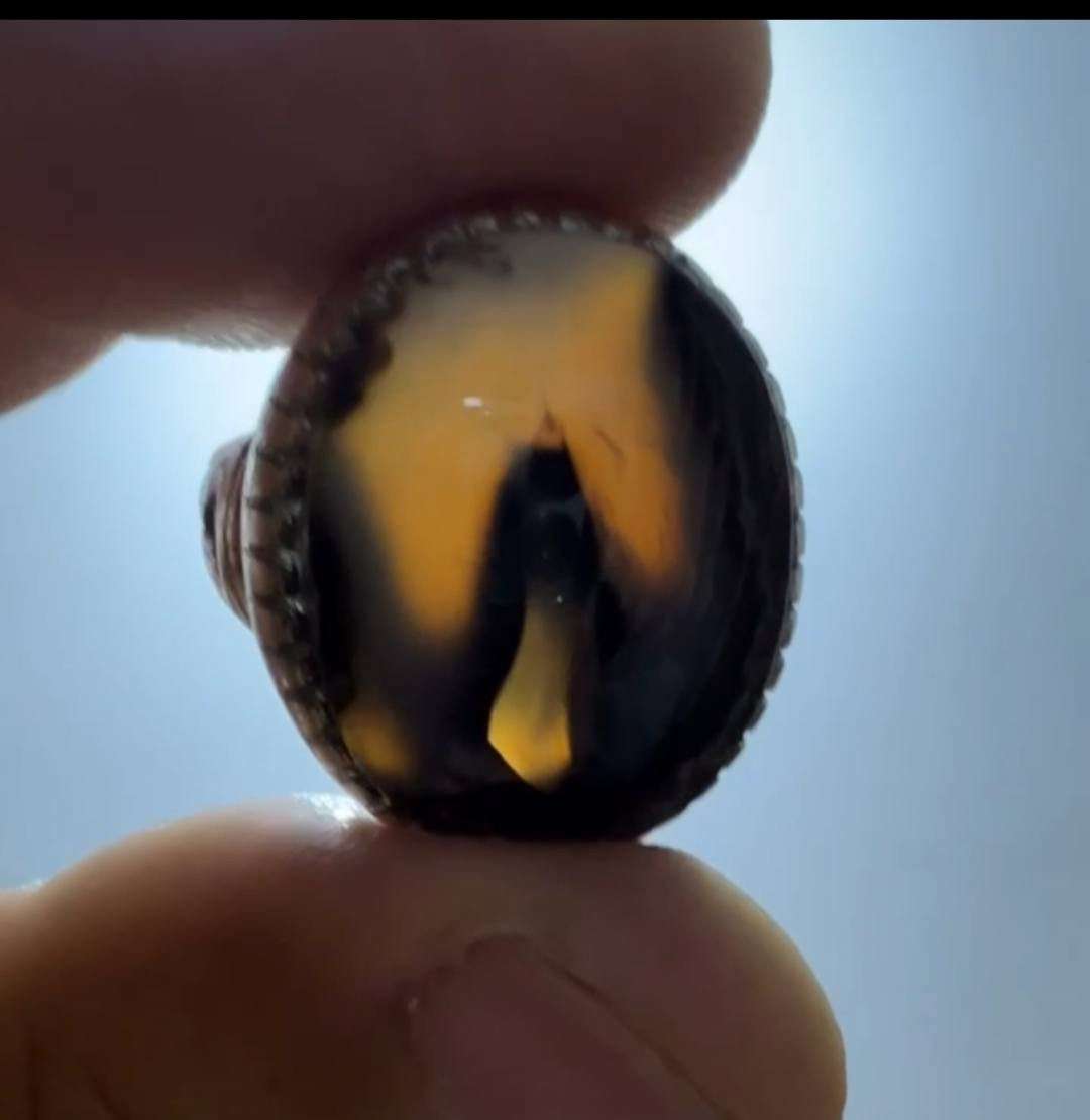 عقيق يماني للبيع


**إذا كنت صاحب هذا الإعلان وتريد حذفه لأي سبب، رجاءا أرسل رسالة إلى الدعم الفني**