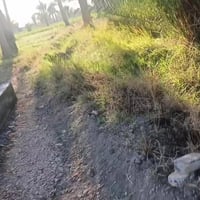 بابل أبو غرق • طابو زراعي • ٣٧٥٠م