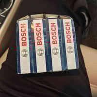 تخم بلكات • بوش اصلي الماني • التاجي