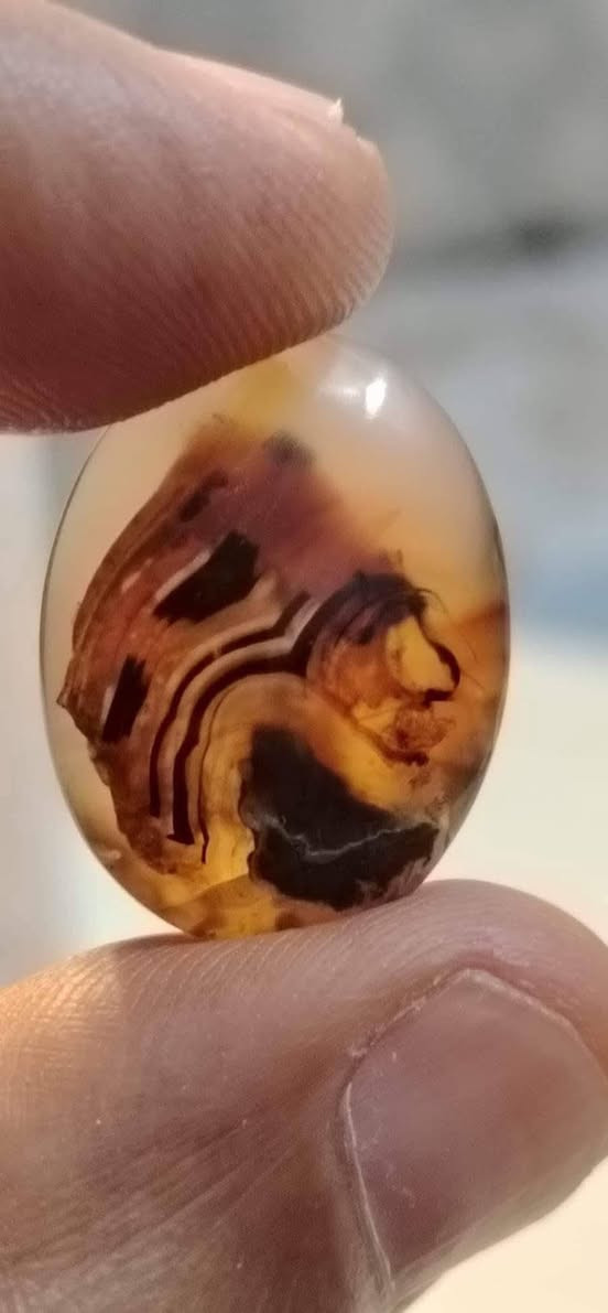 لعيون اعضاء الكروب الراقيين للاستفسار ***********
