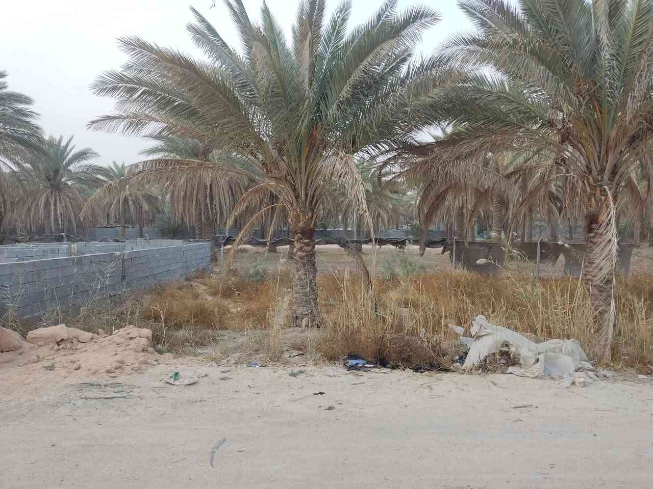 قطعه للبيع 100متر مكان الرشديه يم البوري الاسود منطقة تبليط 
القطعه اسعارهن 20//21بس اني مستعجل ع بيعته ب17 ابيع ***********
