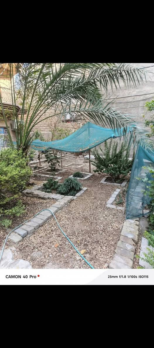 السلام عليكم بيت مساحتة 550 متر قرب مستشفى العباس الاهلي اول بيت عن الشارع العام يعني اول بيت بالفرع يرهم شاليه او حسينية او سكن يبعد عن مركز المدينة 700 وعن الامام الحسين 1كيلو  يحتوي البيت على حدائق 2 وغرف نوم 2 واستقبال = مضيف  كبيرة ومطبخ وصحيات والطابق الثاني معزول يحتوي على غرفة وصالة ومطبخ وصحيات للاستفسار اكثر الاتصال مع صاحب الدار مباشر علماً البيت طابو زراعي يعني سند يتحول باسمك متشيل هم الشي  ***********
