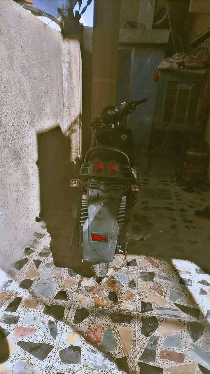 سلام عليكم سكنس جبلي لبيع درجة صالهة شهرين من منزاهة من رمبة بلادية درجة رقمي ***********مكان شعلة
