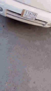 كيا فحل تك قمارة 
موديل 2008 السعر 83 ورقة قفل 
رقمها ديالى مكاني بغداد 
***********
