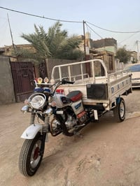 ستوته • ١٣ • اوراق
