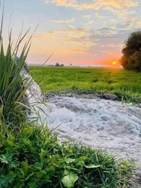 50 مليون وبي مجال أخذلك دونم قريب من بغداد وسوي مزرعه تغير من روتينك و...