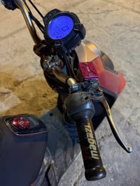 سكنس جبلي • مزود • بعقوبه