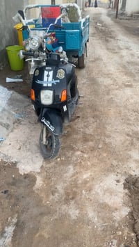 ماكس بوليسي • حاهزه • تنومه