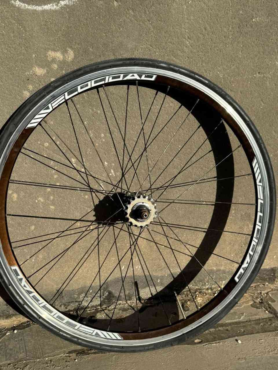 السلام عليكم 

رمضان كريم 

ويل فكسد خلفي مع الدشالي 

متحركه (17)سن

ثابته(17)سن

سعر 30 الف شامل التوصيل

صينيه فكسد 50 سن جديده مامستعمله

25 الف شامل التوصيل

الويل والصينيه شلع ثنينهن 50 الف شامل التوصيل


**إذا كنت صاحب هذا الإعلان وتريد حذفه لأي سبب، رجاءا أرسل رسالة إلى الدعم الفني**