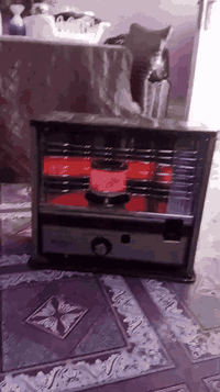 هذني الصوبات للبيع نوعيه الاصليه والسنك من القديمات سعر الصوبات 50الوح...