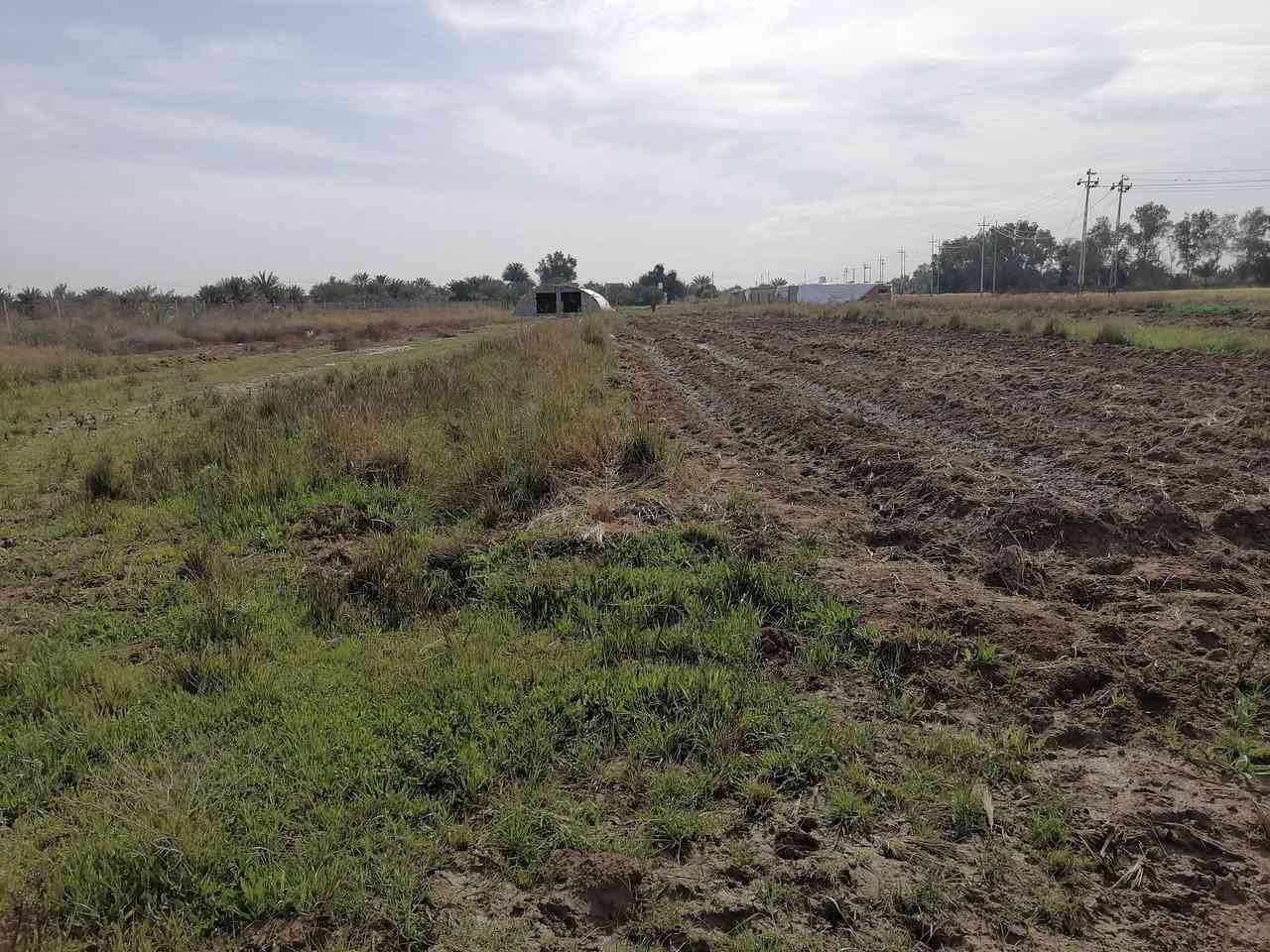 سلام عليكم ارض زراعيه لبيع تريد هيه والحقل تريد بس ارض عادي كافت الخدمات ماء اساله كهرباء خطين وطني  شارع رسمي تبعد عن الولايه ٥دائق خابر ودلل *********** الموقع ع طريق بعير
