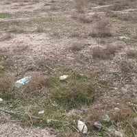 دونم للبيع عقد 17 منطقه السلاميات واجهه 34قرب الشعله للاستفسار وتفاصيل...