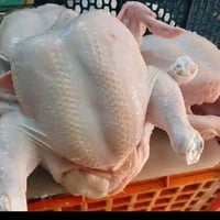 دجاج طازج • توصيل • ٤ دجاجات ١٨٠٠غم