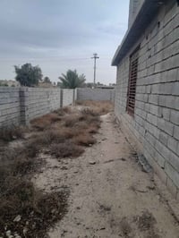 فرع إلمام • قرب المحطه • ١ دونم