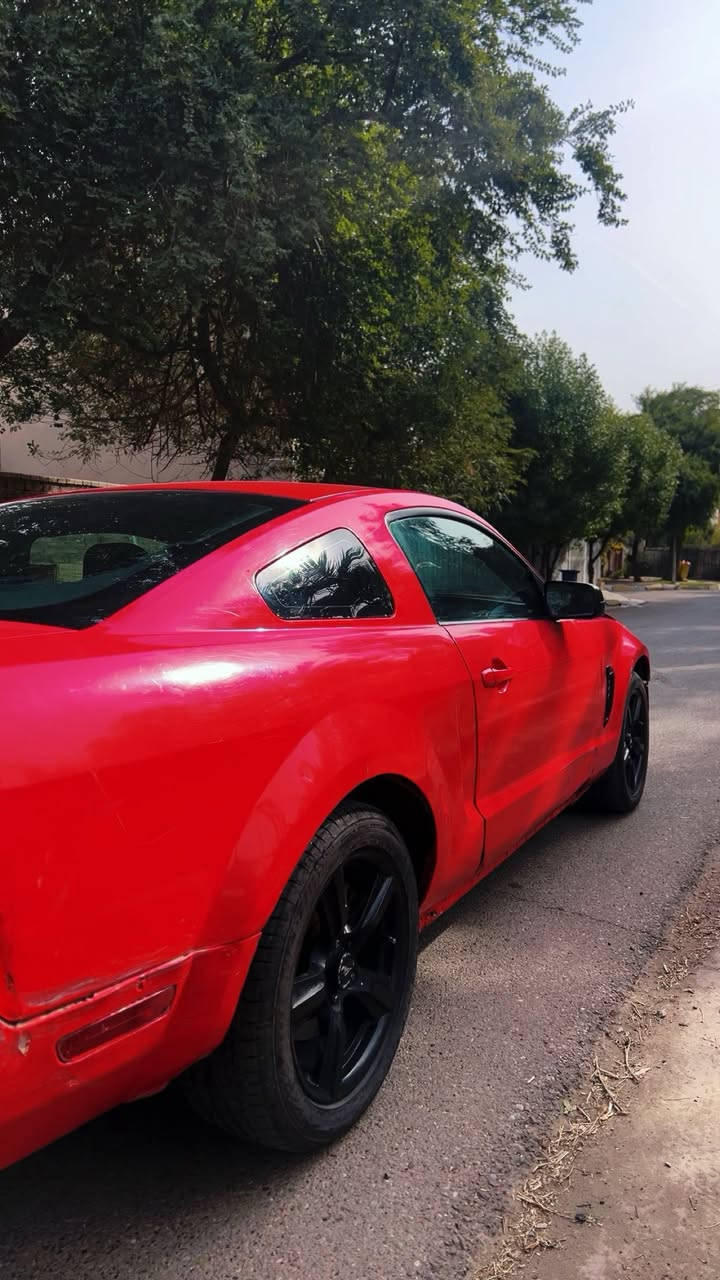 السلام عليكم
للبيع موستنك 2008 
محرك  مال حاويه جديد
كير مال حاويه جديد
محرك 4000 6 سلندر
تخم تايرات جديد 
مصبوغه حزام للجماليه 
شادلها سموك بكلايت 
شادلها اناره دشبول متغيره 
صوته مرتب و بيها فصله مرتبه كلش
مسويلها هزه جديده ما صارلها شهر 
سنويه 2027
باسمي تحويل شوكت ما يعجبك 
مكينتها تخبل شلعتها كلش قويه 
بطناش 1 2 3
السعر 53
للتواصل ***********
