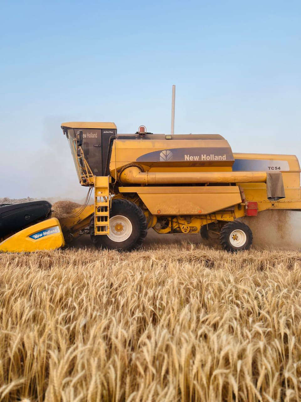 سلام عليكم حاصده نيو هولند هايدرو ٤بلم مديومة وكامله للبيع موديل ٢٠٠٧ للاستفسار على الرقم ***********
