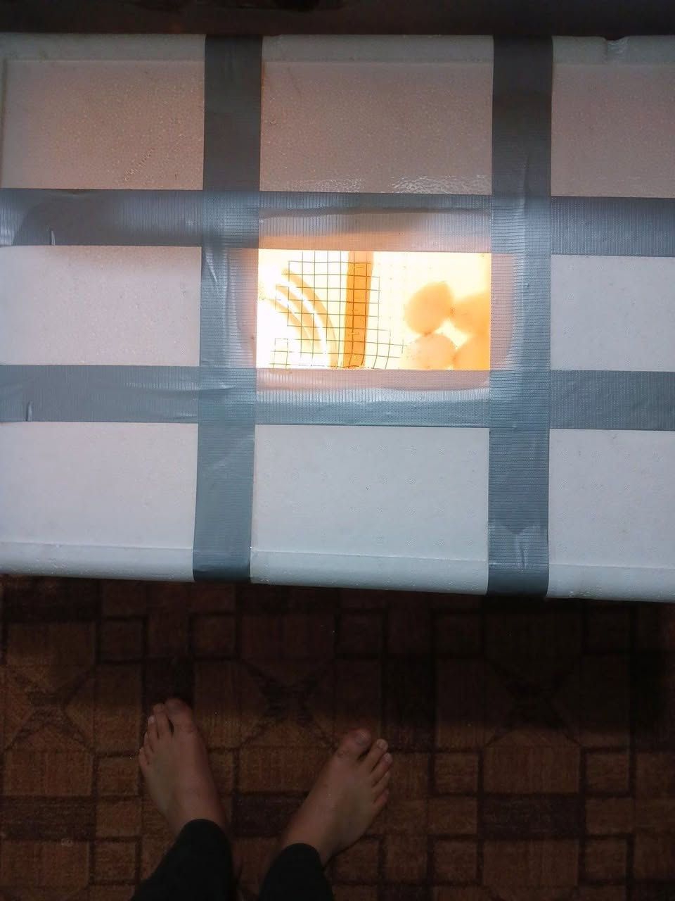 متوفره فقاسه تاخذ 100 بيضه درجه اولى شرط التفقيس متفقس ترجع راسلني وتدلل


**إذا كنت صاحب هذا الإعلان وتريد حذفه لأي سبب، رجاءا أرسل رسالة إلى الدعم الفني**