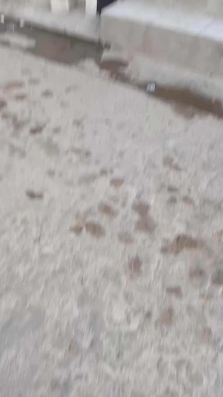 السلام عليكم دار للأيجار قرب مطعم غصن الزيتون حي نزال
بدل الأيجار 500 للتواصل على هاي الارقام 
***********
***********
