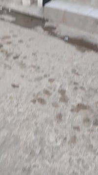 حي نزال • ١٠٠م • ٣ غرف