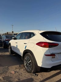 توسان • ٢٠١٩ • رقم بابل