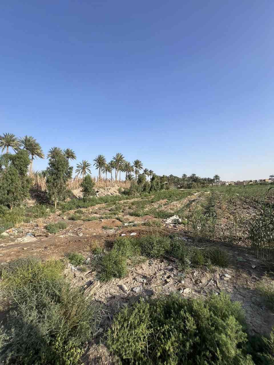 دونم لبيع الموقع الرداد ع الشارع العام للتواصل  او واتساب 
***********
