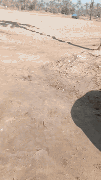 السلام عليكم اليوم عرض جديد دونم للبيع طابو ملك صرف فى ابو غريب حميد شعبان يبعد عن الجامع دقيقه واجهه ٢٥ نزال ١٠٠ منطقه مخدومه الاستفسار اتصل 
***********
*********** مكتب المضايف
